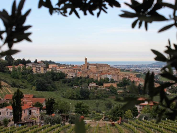 La regione con la maggiore longevità